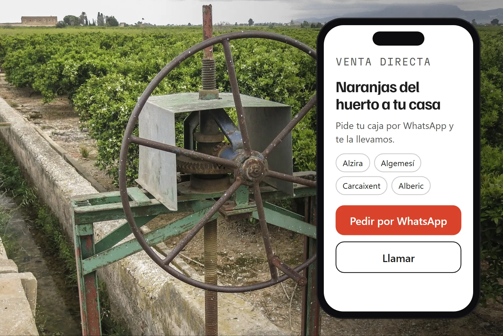 Digitalización de negocios en la Ribera Alta: web de venta directa de naranjas en el móvil sobre un huerto con acequia en Algemesí