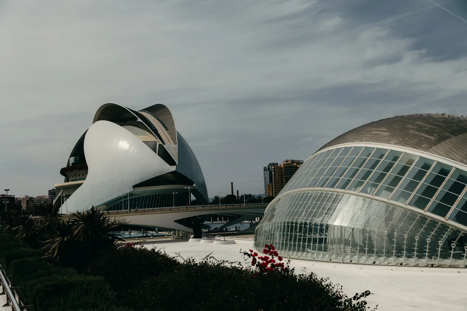 Edificios de la Ciudad de las Artes y las Ciencias de Valencia bajo un cielo nublado